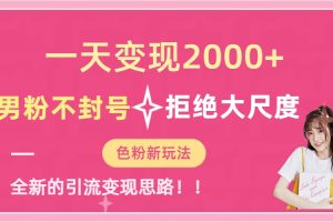 (7166期)一天收款2000元,男粉不封号拒绝大尺度-色粉全新的变现方法