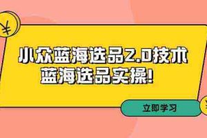 （9189期）拼多多培训第33期：小众蓝海选品2.0技术-蓝海选品实操！