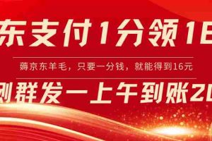 （8678期）京东支付1分得16元实操到账200