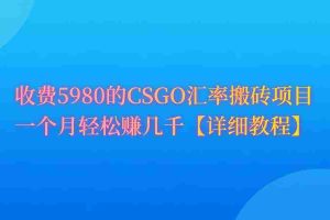 （9776期）CSGO装备搬砖，月综合收益率高达60%，你也可以！