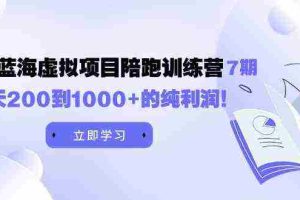 （9541期）黄岛主《淘宝蓝海虚拟项目陪跑训练营7期》每天200到1000+的纯利润
