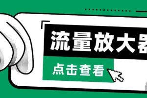 抖音公私域变现、soul私域轰炸器-流量放大器