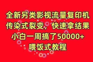 全新另类影视流量复印机，传染式裂变，快速拿结果，小白一周搞了50000+，喂饭式教程【揭秘】