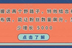 掌握这两个野路子，特效结合神奇布偶，能让粉丝数量飙升，至少增长 5000【揭秘】