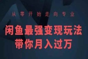 从零开始走向专业，闲鱼最强变现玩法带你月入过万