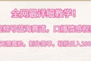 全网最详细教学，视频号蓝海赛道，口播情感视频，无需露脸，制作简单，轻松实现日入1000+【揭秘】