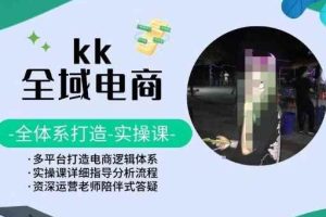 KK全域电商，全体系打造实操课，多平台打造电商逻辑体系