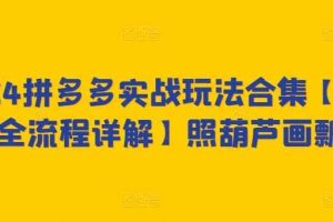 2024拼多多实战玩法合集【0-1全流程详解】照葫芦画瓢