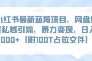 小红书最新蓝海项目，网盘扩容私域引流，暴力变现，日入1000+（附100T占位文件）【揭秘】