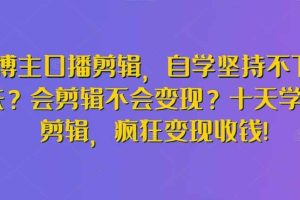 博主口播剪辑，自学坚持不下去？会剪辑不会变现？十天学会剪辑，疯狂变现收钱!