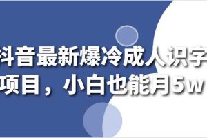 抖音最新爆冷成人识字项目，小白也能月5w