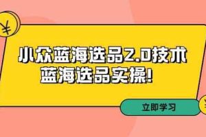 拼多多培训第33期：小众蓝海选品2.0技术-蓝海选品实操