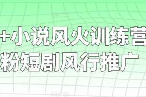 短剧+小说风火训练营，0粉短剧风行推广