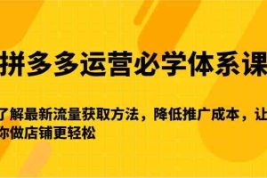 拼多多运营必学体系课-了解最新流量获取方法，降低推广成本，让你做店铺更轻松
