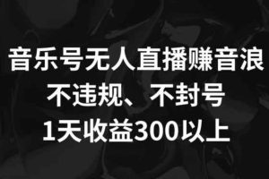 音乐号无人直播赚音浪，不违规、不封号，1天收益300+【揭秘】