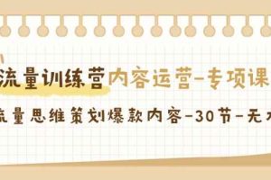 流量训练营之内容运营专项课，用流量思维策划爆款内容（30节课）