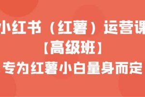 小红书（红薯）运营课【高级班】，专为红薯小白量身而定（42节课）