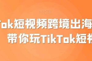 TikTok短视频跨境出海撸美金，带你玩TikTok短视频