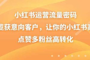小红书运营流量密码，揽获意向客户，让你的小红书高点赞多粉丝高转化