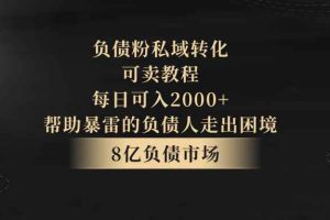 负债粉私域转化，可卖教程，每日可入2000+，无需经验