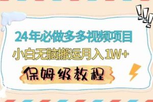 人人都能操作的蓝海多多视频带货项目，小白无脑搬运月入10000+【揭秘】
