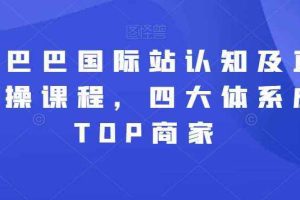 阿里巴巴国际站认知及直通车实操课程，四大体系成就TOP商家