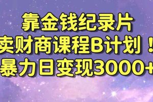 财经纪录片联合财商课程的变现策略，暴力日变现3000+，喂饭级别教学【揭秘】