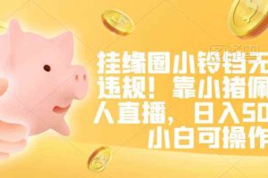 挂缘圈小铃铛无版权违规！靠小猪佩奇无人直播，日入500+，小白可操作【揭秘】