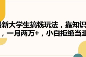 最新大学生搞钱玩法，靠知识掘金，一月两万+，小白拒绝当韭菜【揭秘】