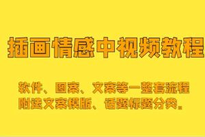 插画情感中视频，软件、图案、文案等一整套流程，送文案模版、话题标题分类。