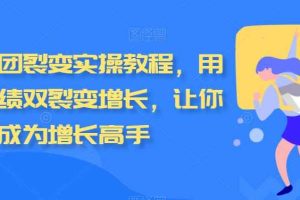私域拼团裂变实操教程，用户和业绩双裂变增长，让你成为增长高手