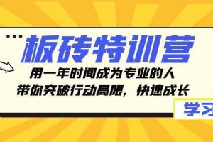 板砖特训营，用一年时间成为专业的人，带你突破行动局限，快速成长