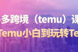 拼多多跨境（temu）课程，从Temu小白到玩转Temu