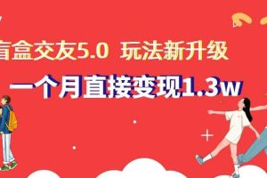 盲盒交友5.0，玩法全新升级，一个月直接变现1.3W，新手小白轻松上手【揭秘】