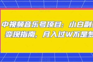 中视频音乐号项目：小白副业变现指南，月入过W不是梦【揭秘】