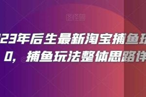 2023年后生最新淘宝捕鱼玩法2.0，捕鱼玩法整体思路详解
