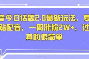 抖音今日话题2.0最新玩法，复制粘贴配音，一周涨粉2W+，过万真的很简单