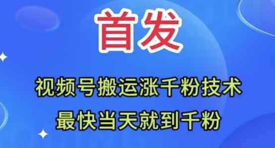 全网首发：视频号无脑搬运涨千粉技术，最快当天到千粉【揭秘】