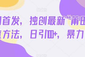 全网首发，独创最新“莆田鞋”引流方法，日引100+，暴力变现