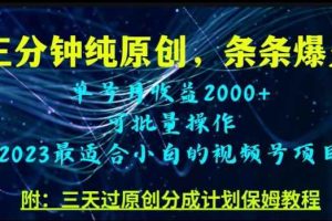 三分钟制作视频号纯原创，条条爆款，轻松月入过万【揭秘】