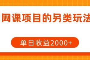 网课项目的另类玩法，单日收益2000+【揭秘】