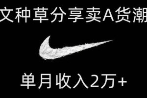 靠图文种草分享卖A货潮鞋，每天一小时，单月收入2万+【揭秘】