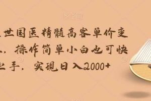 华佗在世国医精髓高客单价变现吸金，操作简单小白也可快速上手，实现日入2000+【揭秘】