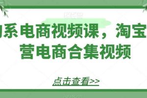 淘系电商视频课，淘宝运营电商合集视频