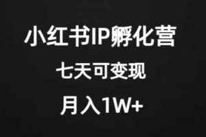 价值2000+的小红书IP孵化营项目，超级大蓝海，七天即可开始变现，稳定月入1W+