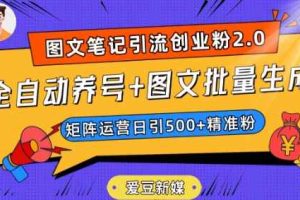 爱豆新媒：全自动养号+图文批量生成，日引500+创业粉（抖音小红书图文笔记2.0）