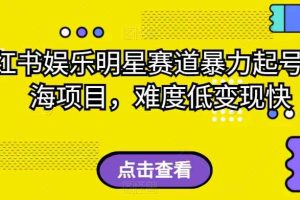 小红书娱乐明星赛道暴力起号，蓝海项目，难度低变现快【揭秘】