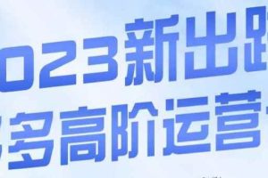 大炮·多多高阶运营课，3大玩法助力打造爆款，实操玩法直接亮出干货