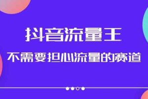 抖音流量王，不需要担心流量的赛道，美女图文音乐号升级玩法（附实操+养号流程）