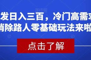 首发日入三百，冷门高需求消除路人零基础玩法来啦【揭秘】